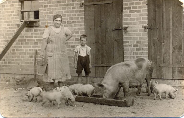 Familie Borsing – Aufnahme am Hof