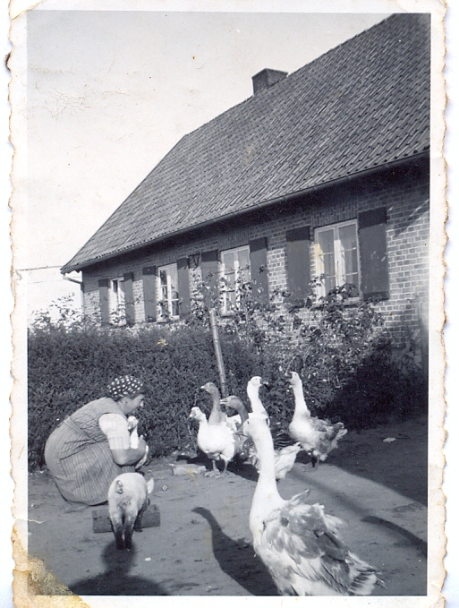 Aufnahme aus der Sammlung Borsing (4)