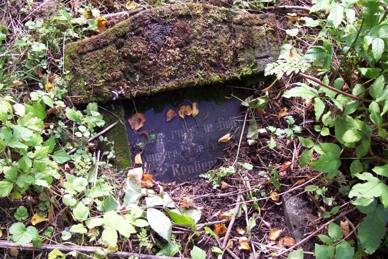 Umgestürzter Grabstein auf dem Friedhof in Pr. Rosengart, 2006