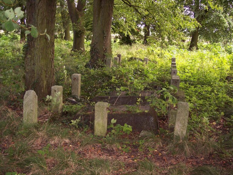 Erhaltene Grabstätte mit kleinen Pfeilern auf dem Friedhof in Pr. Rosengart, 2006