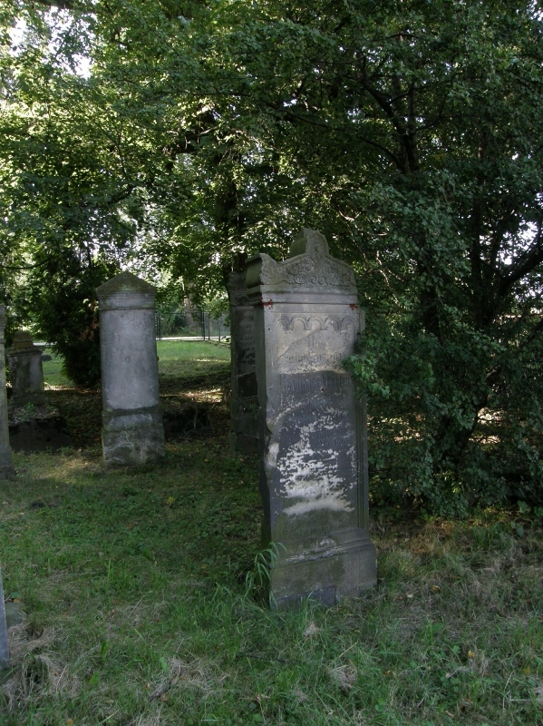 Erhaltene Grabstelen zwischen Bäumen auf dem Friedhof in Thörichthof